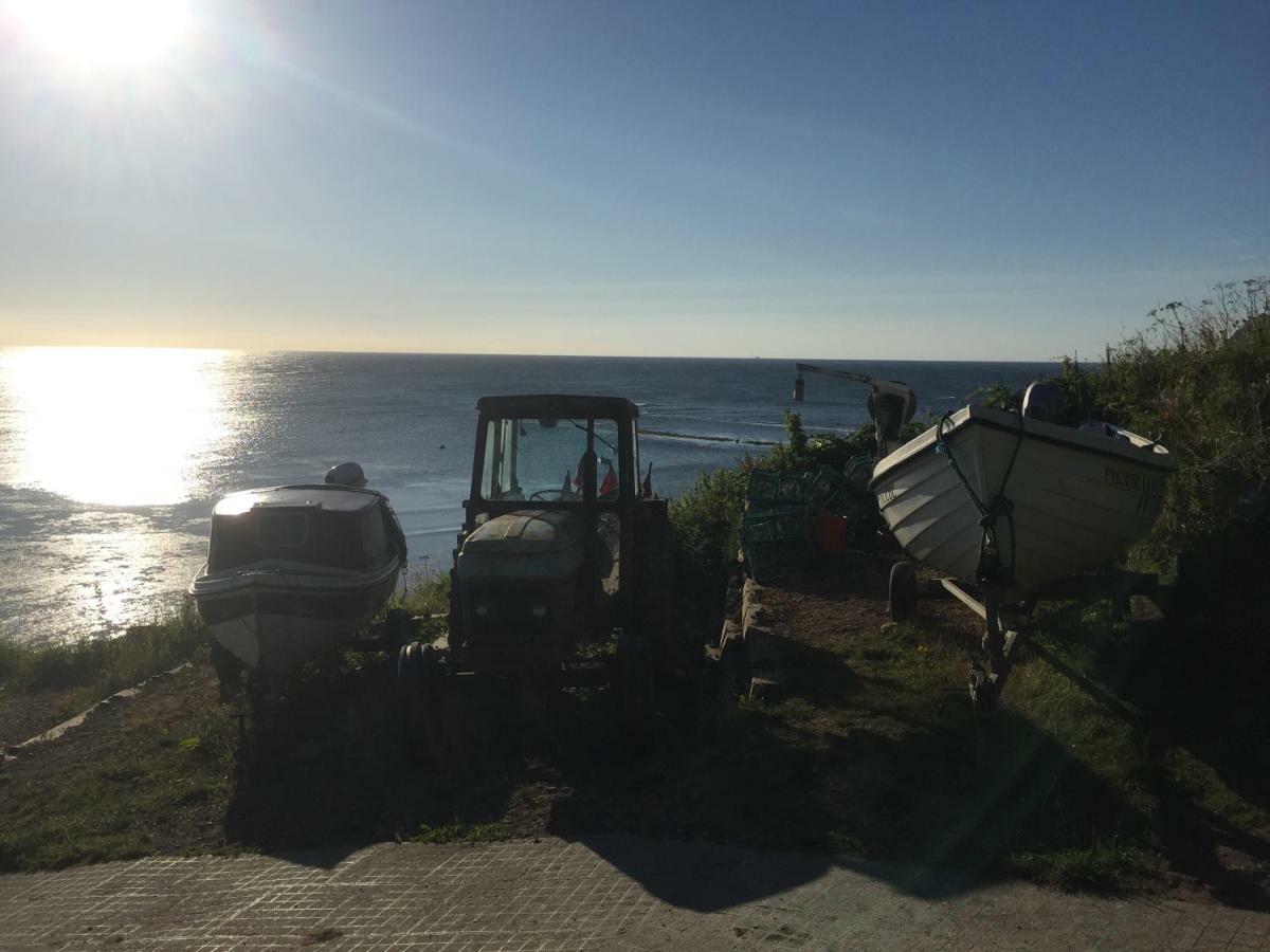 Fernleigh Bed and Breakfast Robin Hood's Bay Εξωτερικό φωτογραφία