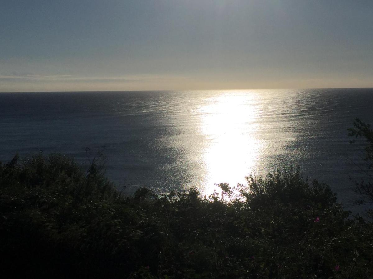Fernleigh Bed and Breakfast Robin Hood's Bay Εξωτερικό φωτογραφία